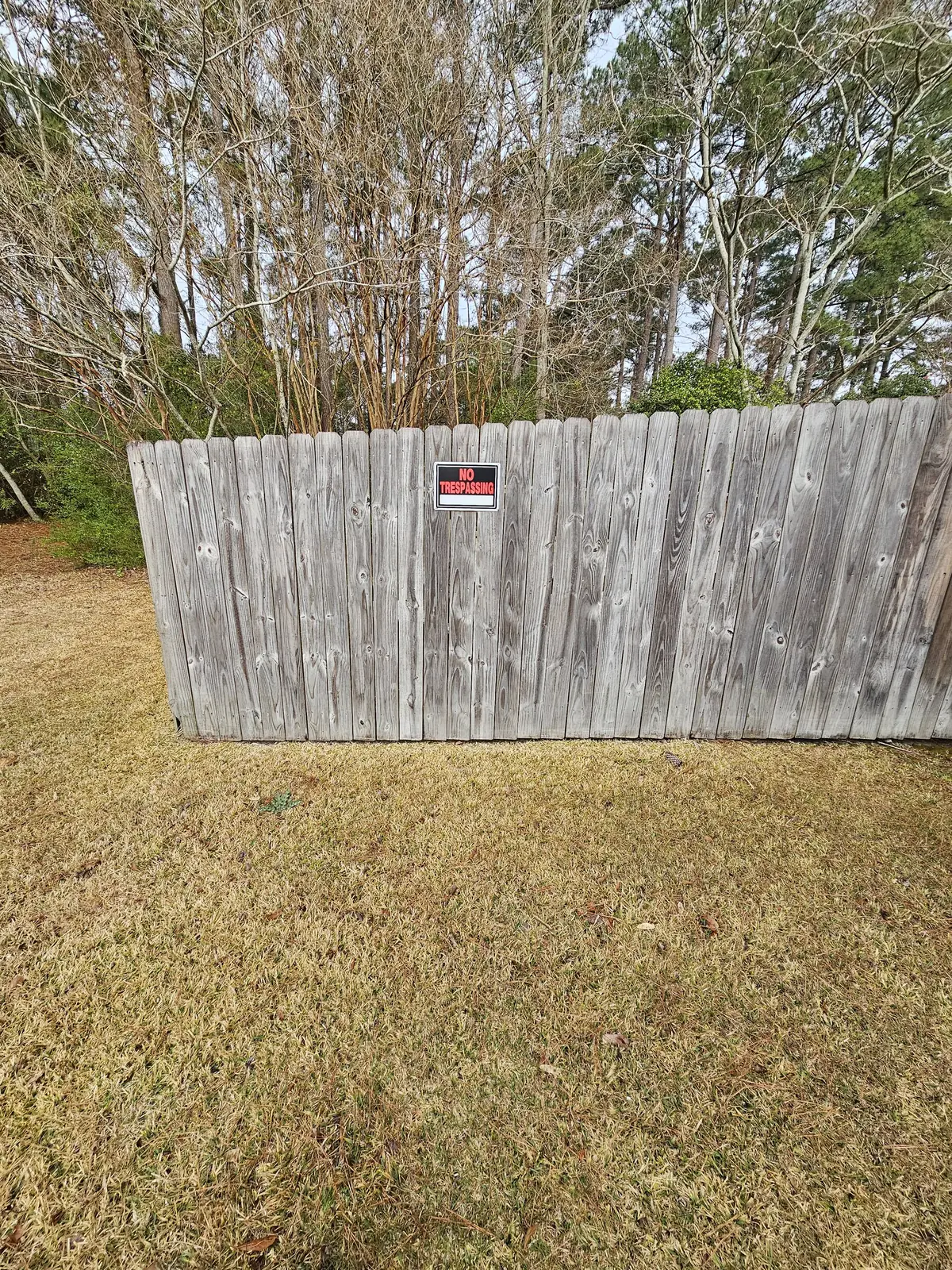 Before: weathered wood deck with gray discoloration and biological growth