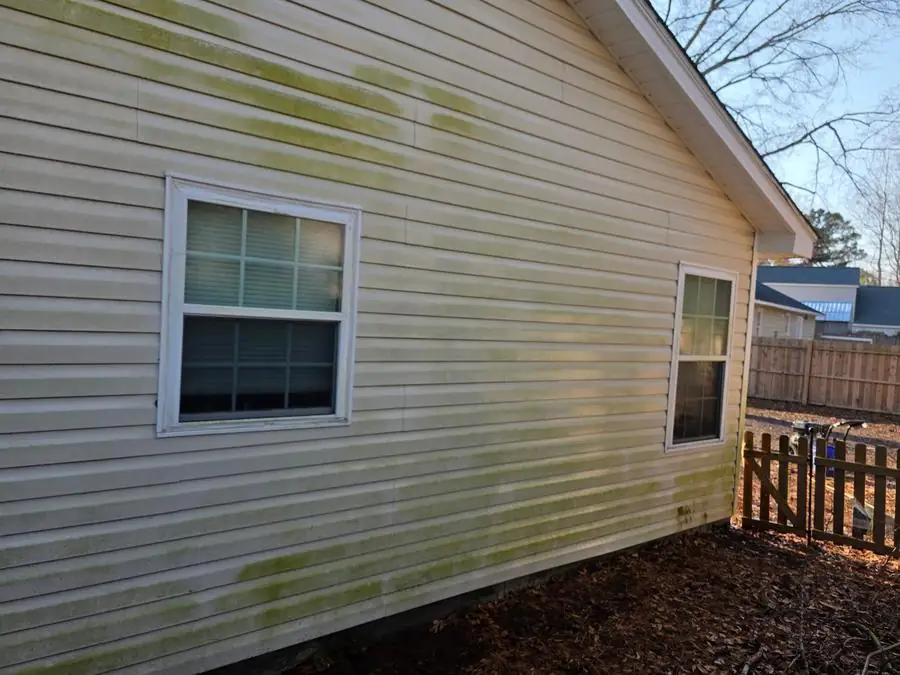 Before: house siding covered in green algae growth