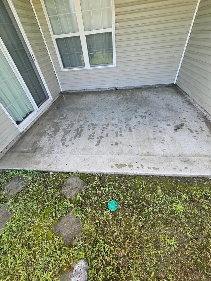 Before: concrete back porch covered in stains and biological growth