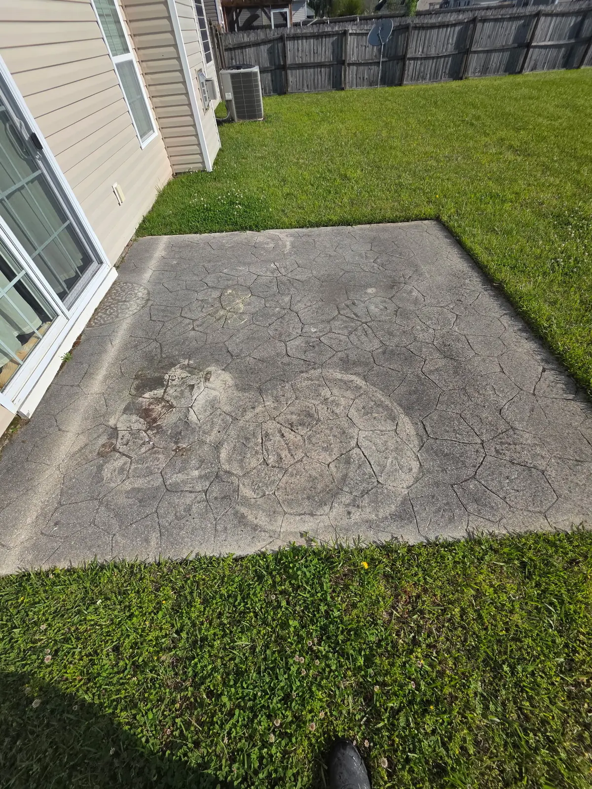 Before: stamped concrete patio heavily stained with organic growth and biological buildup