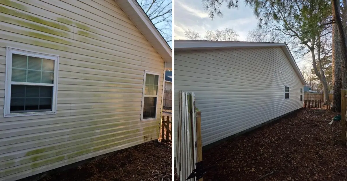 Coastal humidity algae removed from a Topsail Beach exterior